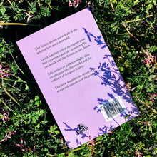 Load image into Gallery viewer, Sunny - The Book